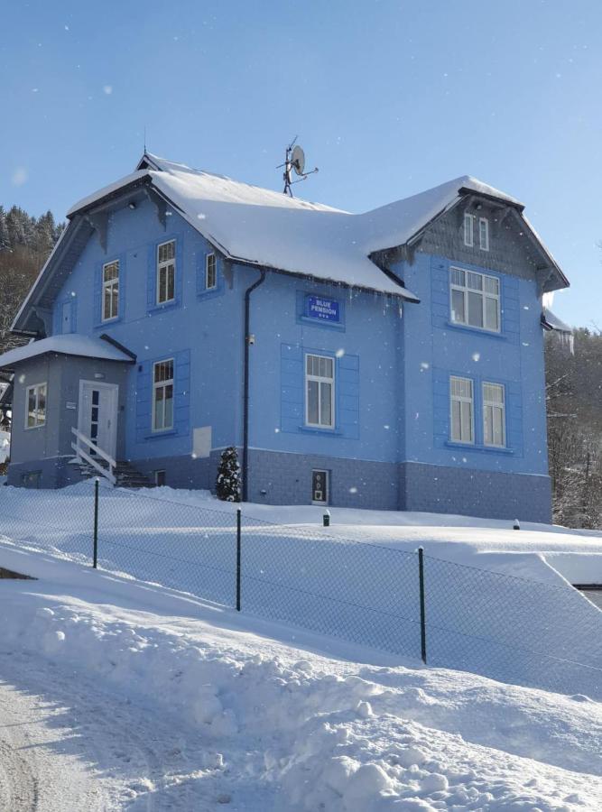 Blue Pension Svoboda nad Úpou Zewnętrze zdjęcie