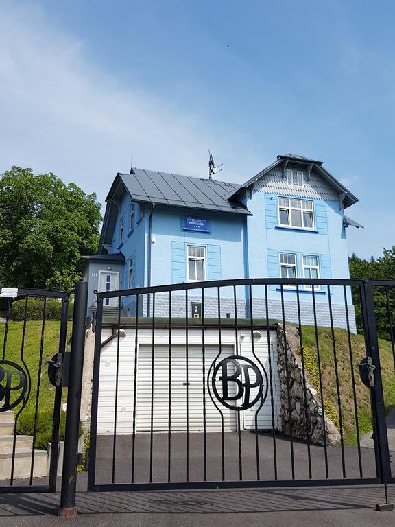 Blue Pension Svoboda nad Úpou Zewnętrze zdjęcie